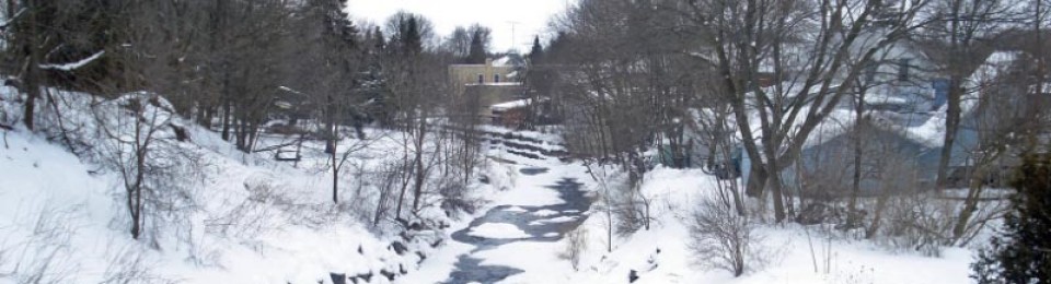 An American Lost in the Great White North